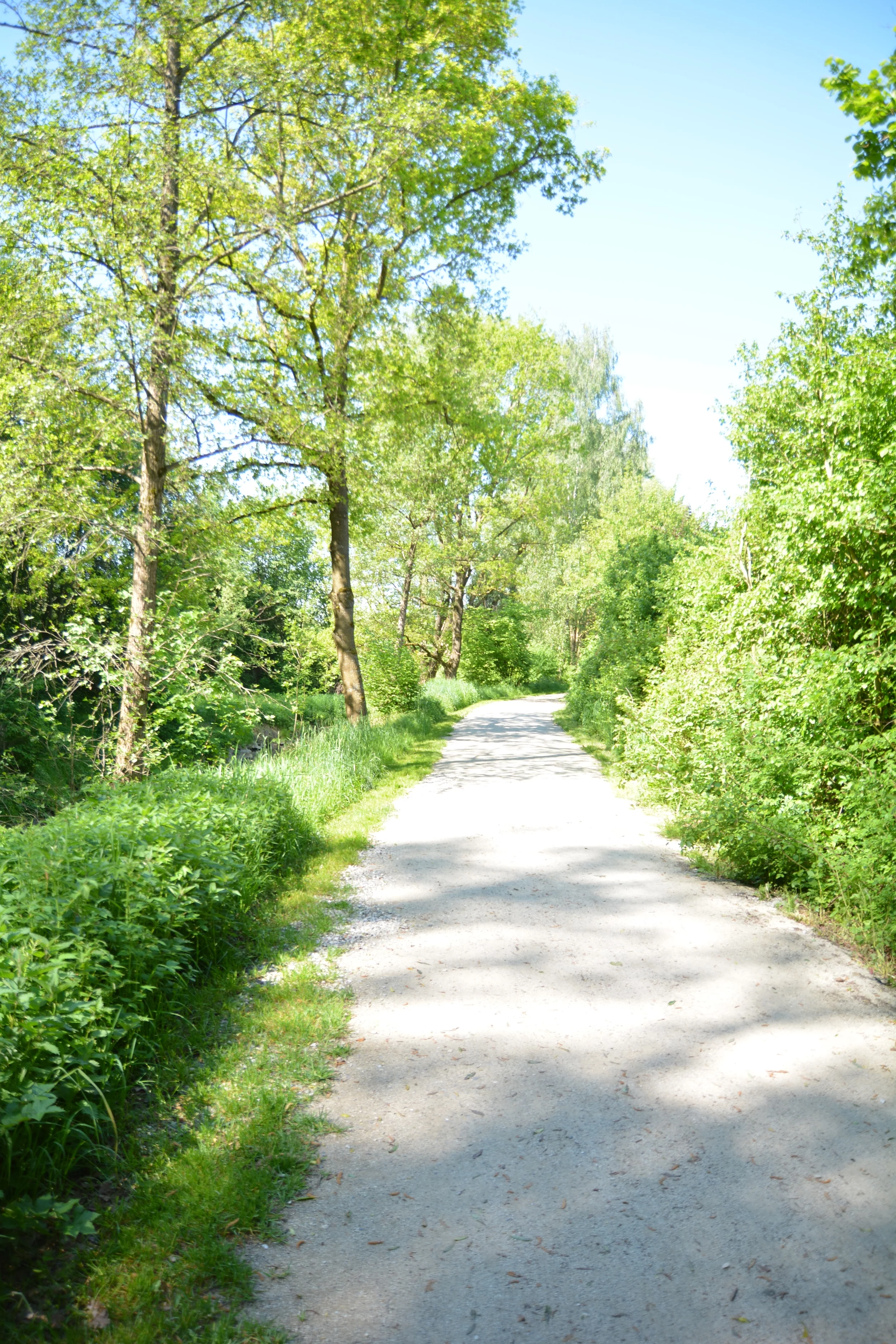 Rottweg